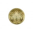 Пуговица-кнопка для погонов МВД РБ (14мм)